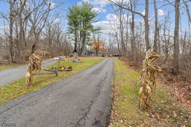 a view of swimming pool with large trees and wooden fence