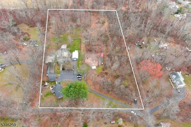 a view of road with large trees