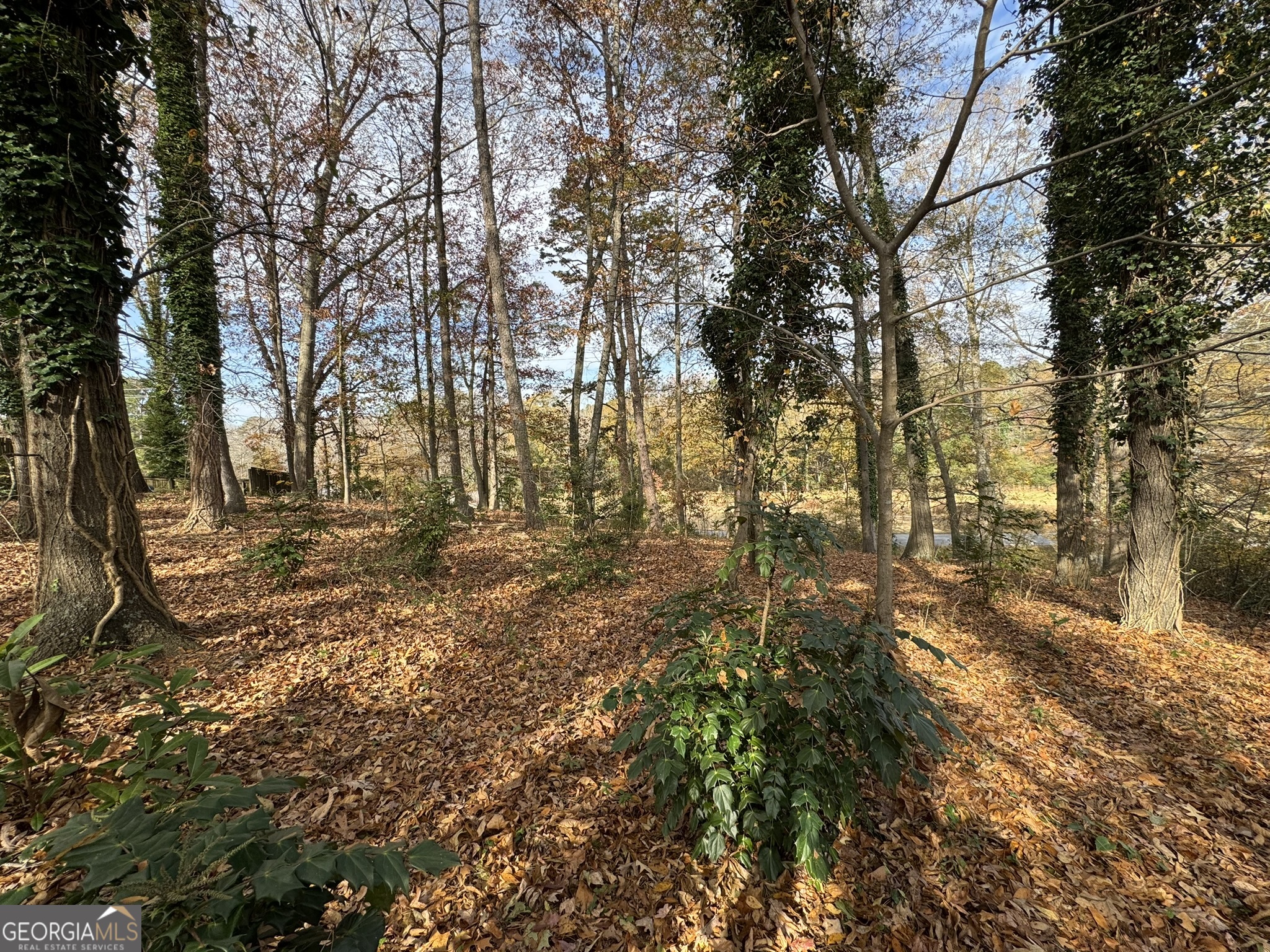 0 Northcrest Drive Winder, GA 30680 - Photo 11 of 15 a view of yard with trees