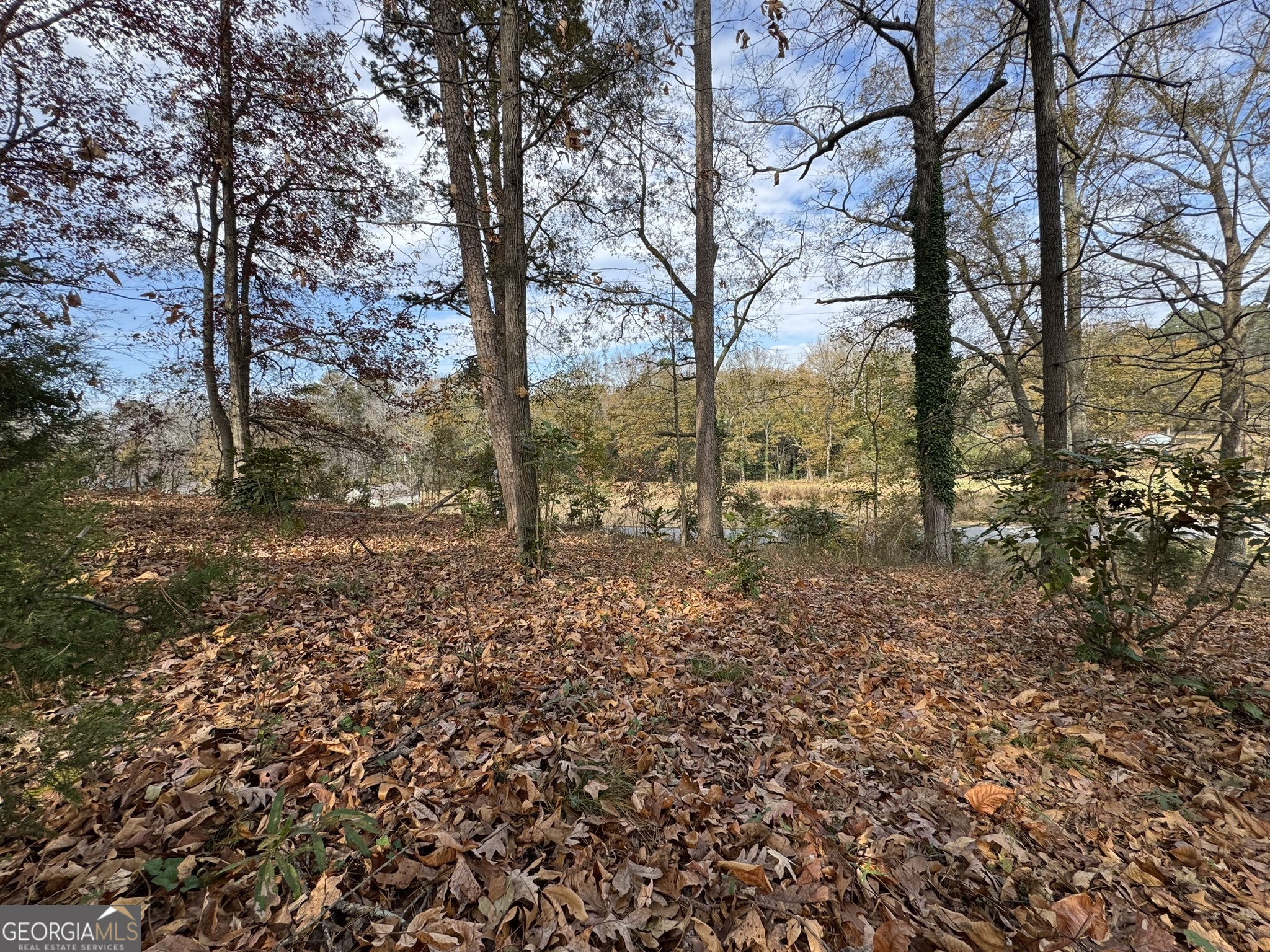 0 Northcrest Drive Winder, GA 30680 - Photo 13 of 15 a view of a yard with lots of green space