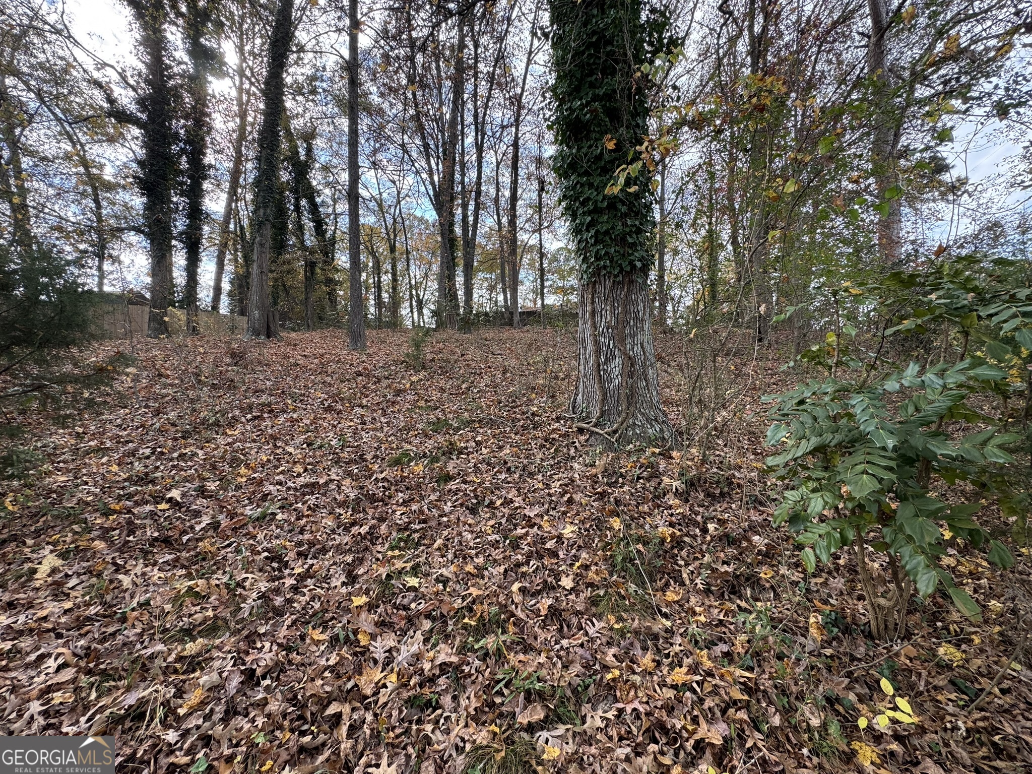 0 Northcrest Drive Winder, GA 30680 - Photo 15 of 15 a view of outdoor space with deck and tree