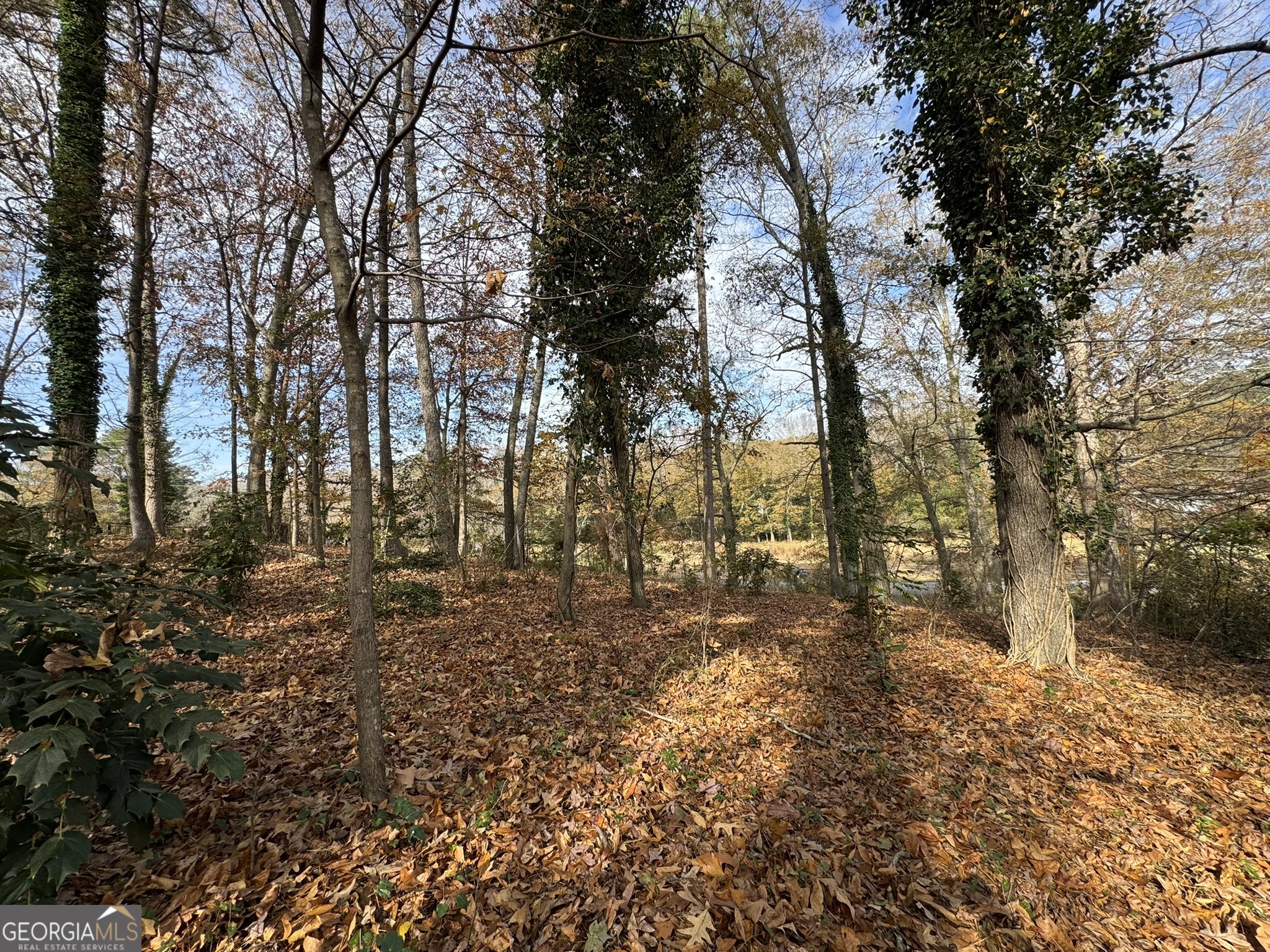 0 Northcrest Drive Winder, GA 30680 - Photo 2 of 15 a view of open space with trees