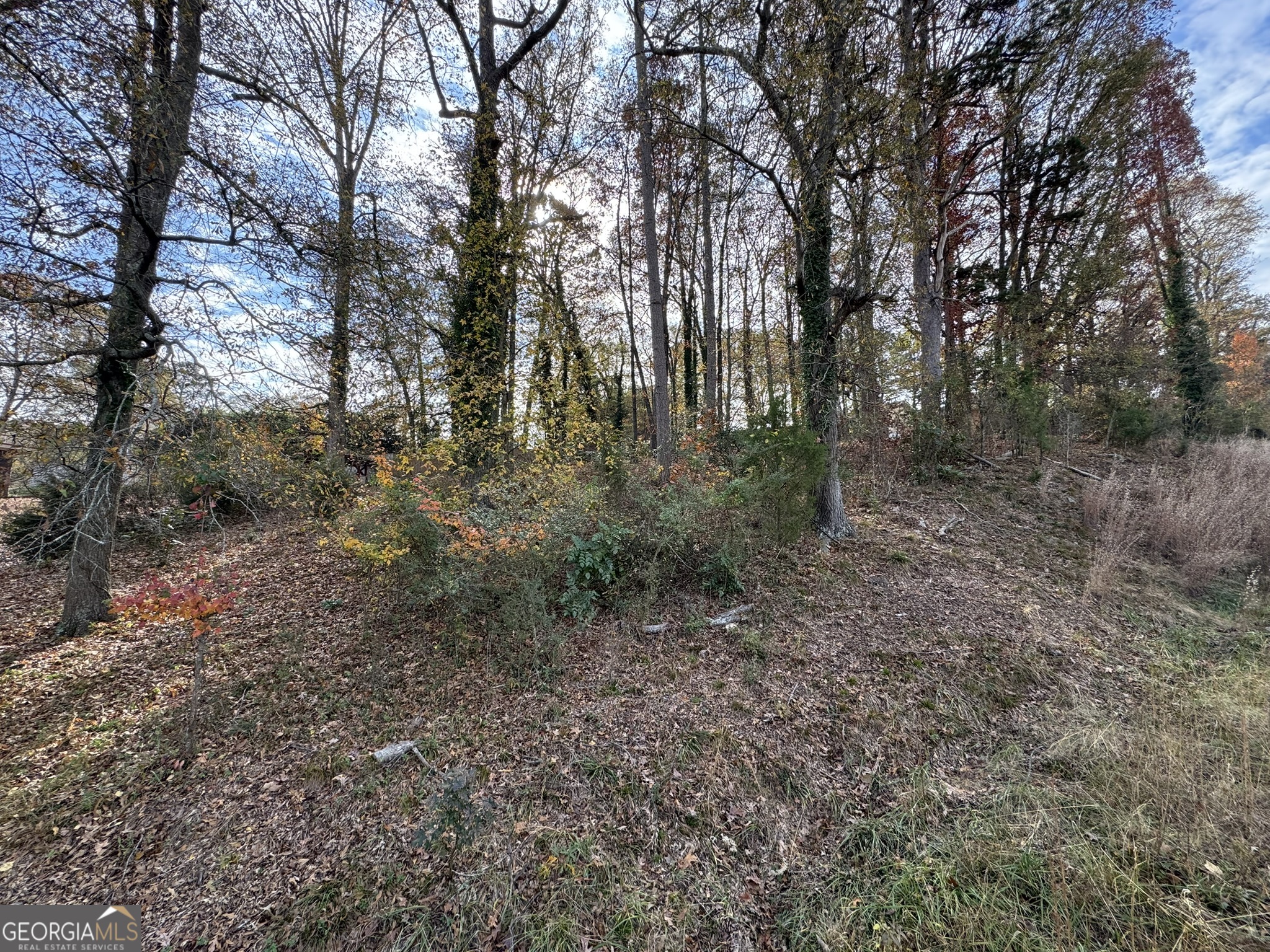 0 Northcrest Drive Winder, GA 30680 - Photo 3 of 15 a view of a forest with trees in the background