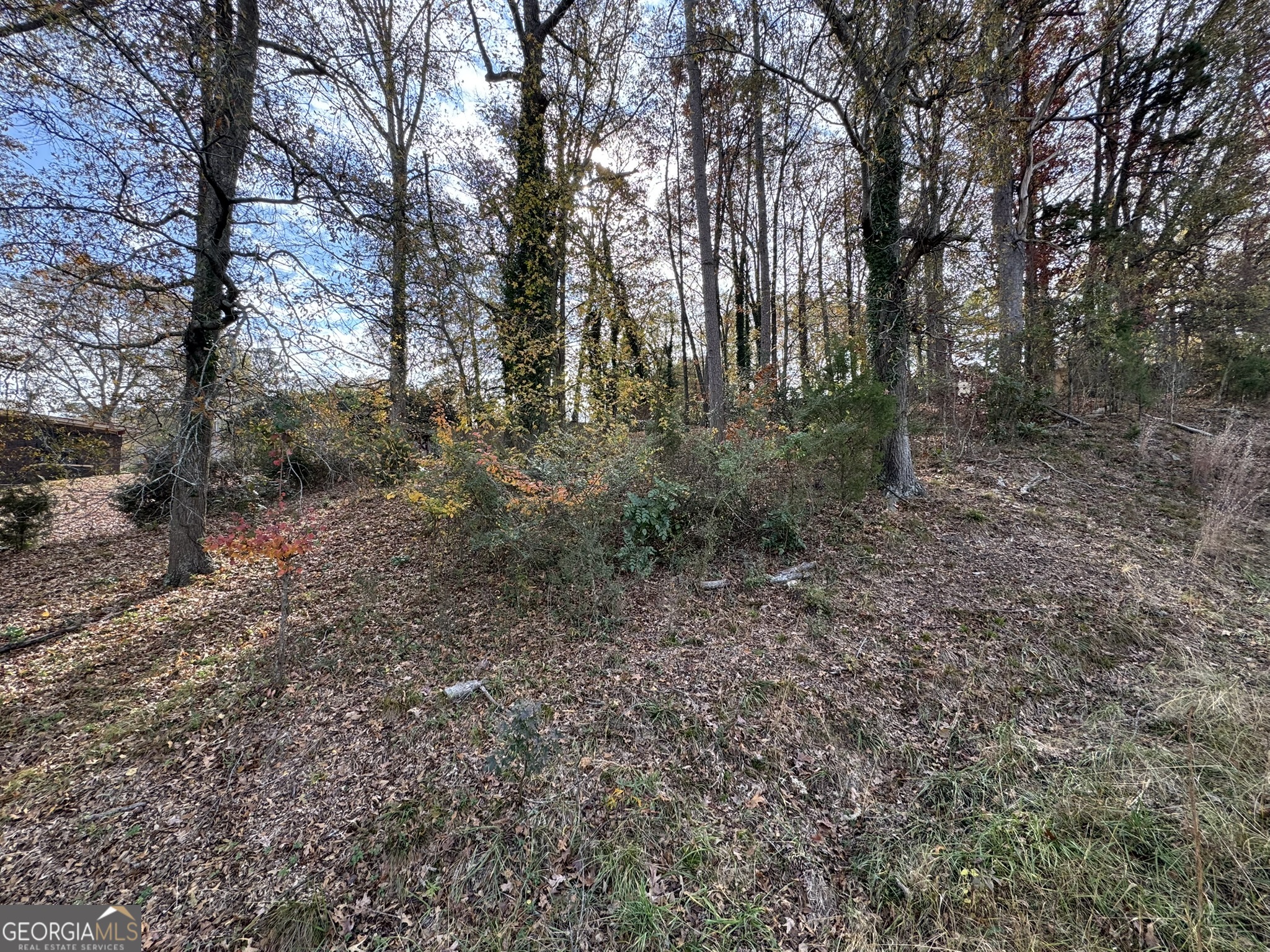 0 Northcrest Drive Winder, GA 30680 - Photo 4 of 15 a view of a forest with trees in the background