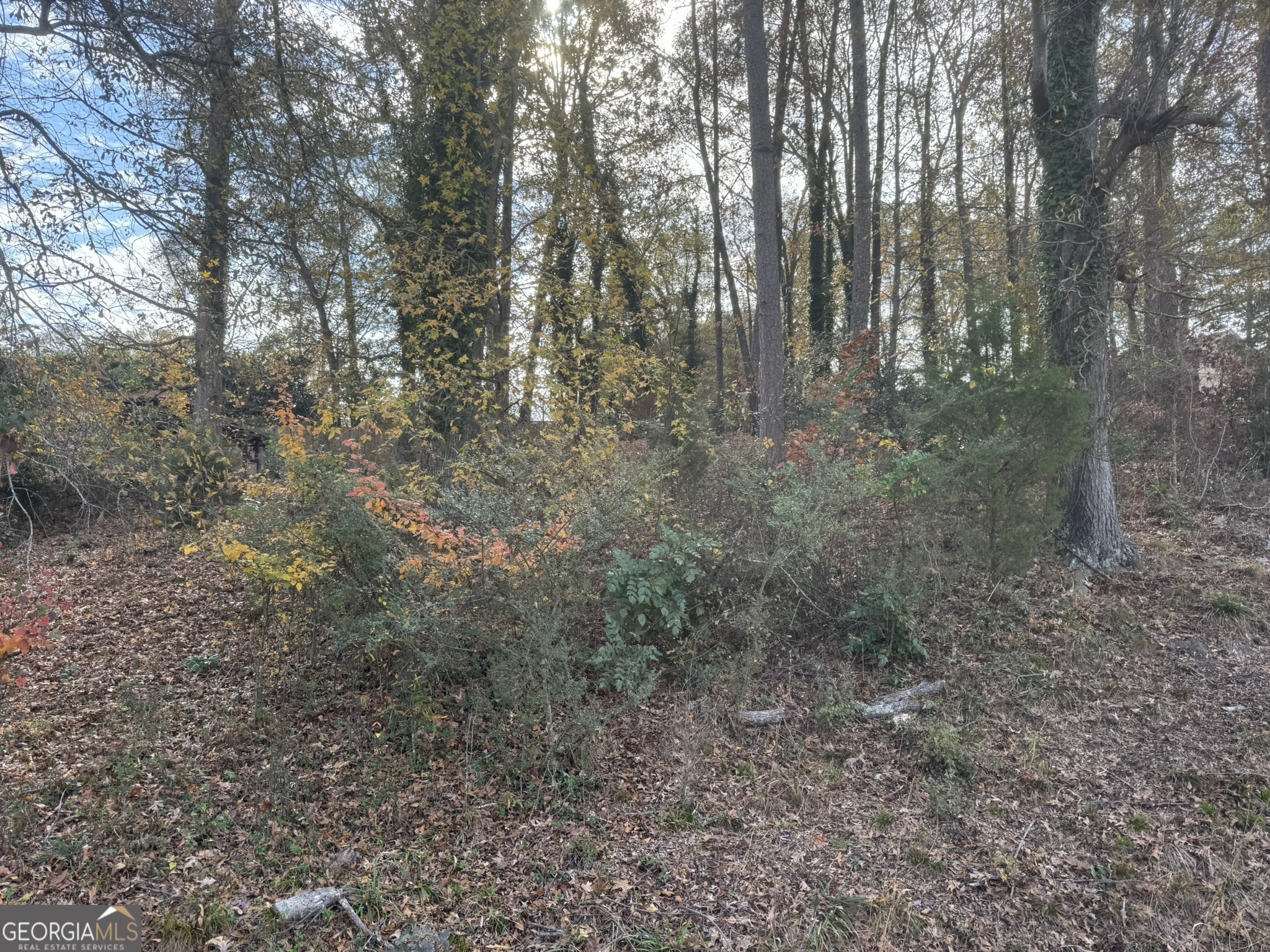 0 Northcrest Drive Winder, GA 30680 - Photo 5 of 15 a view of a forest with trees in the background