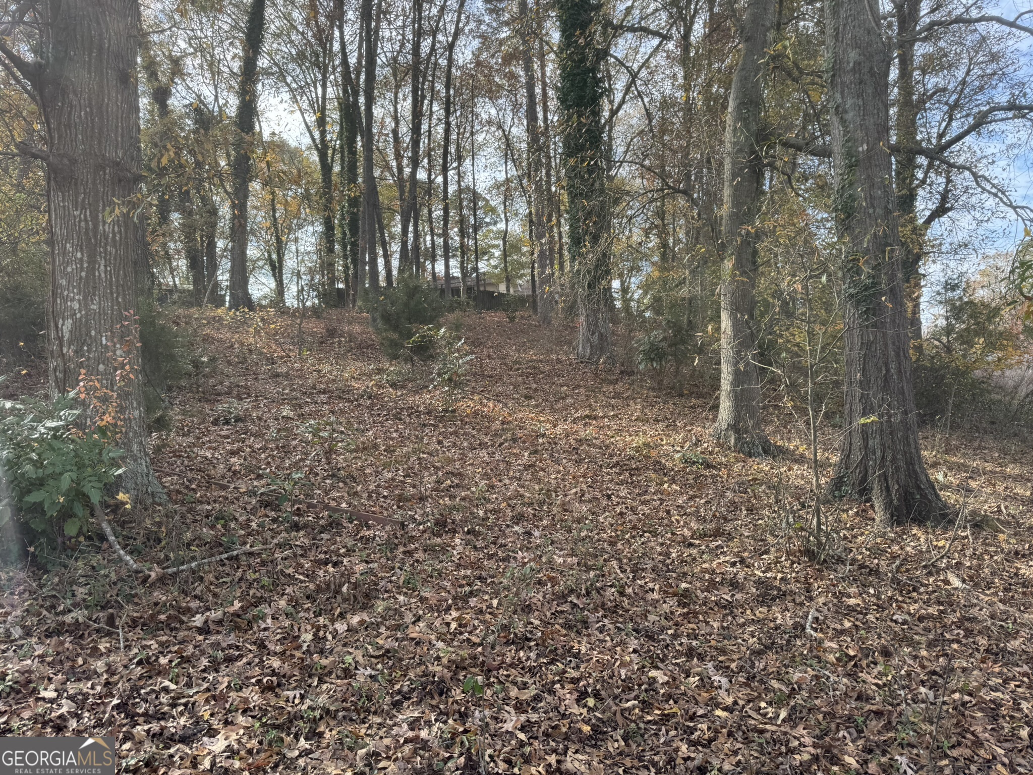 0 Northcrest Drive Winder, GA 30680 - Photo 6 of 15 a view of a forest with trees in the background