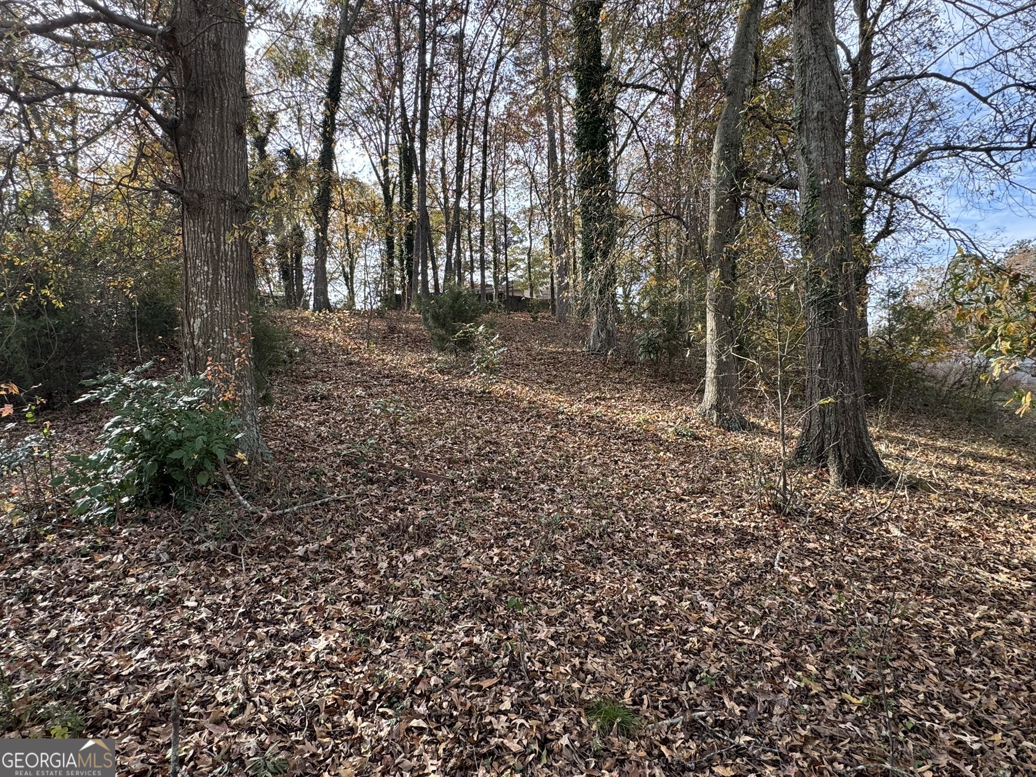 0 Northcrest Drive Winder, GA 30680 - Photo 7 of 15 a view of outdoor space with trees