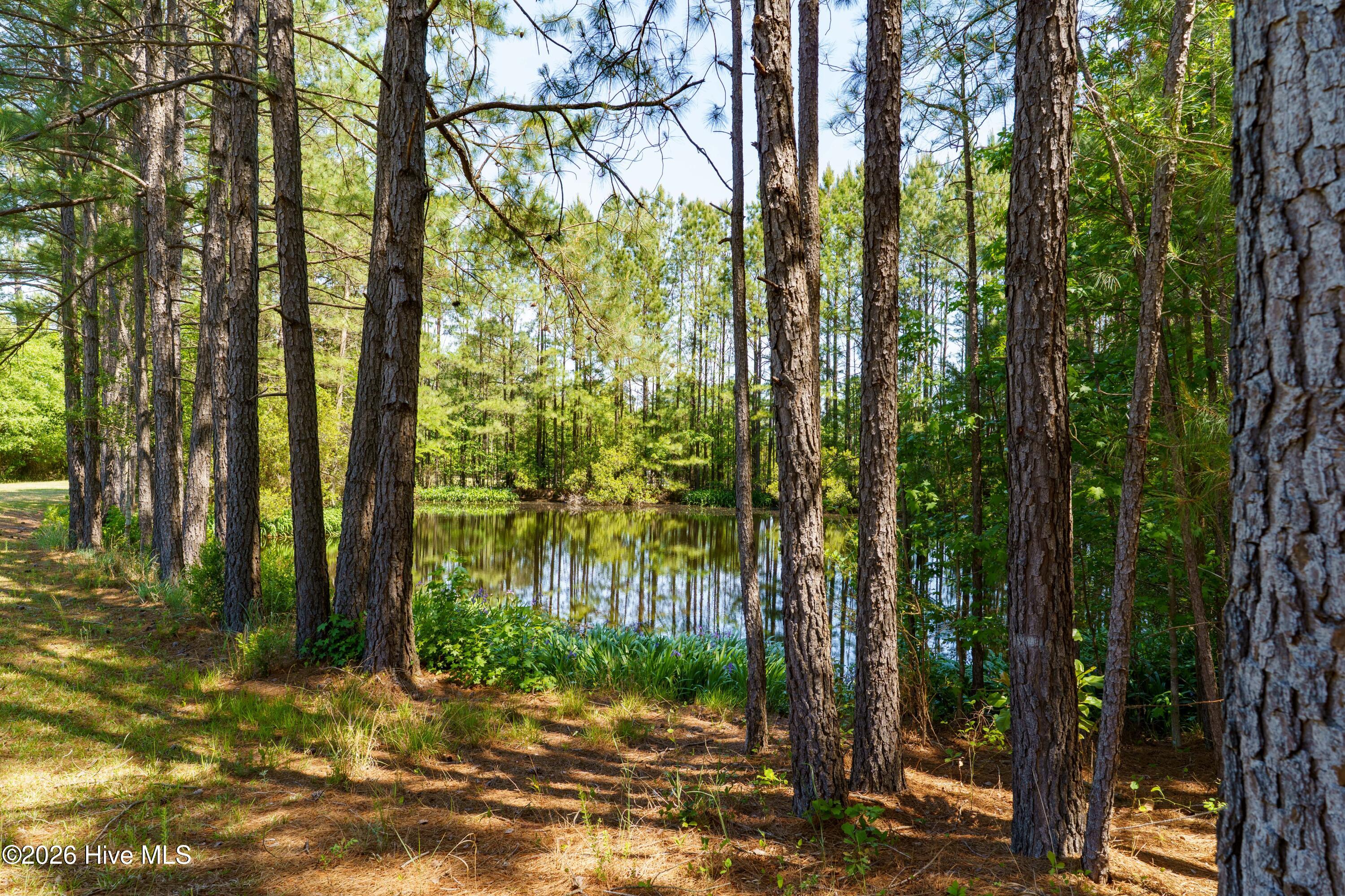 235 Griffin Lake Road Vass, NC 28394 - Photo 56 of 78 235 Griffin-EXT-22
