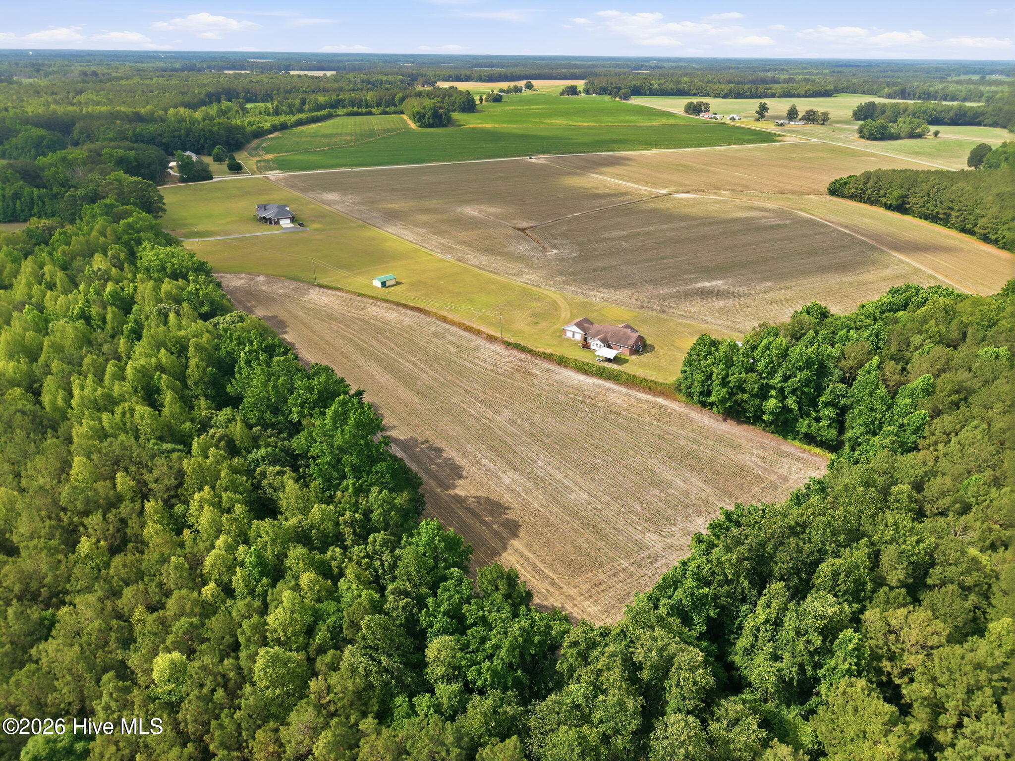 405 Pittman Town Road Scotland Neck, NC 27874 - Photo 15 of 59