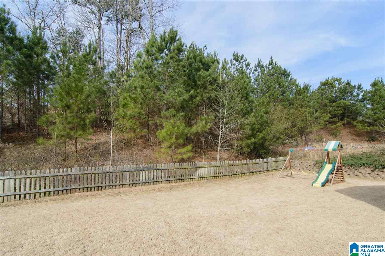 381 Chesser Plantation Lane Chelsea, AL 35043 - Photo 39 of 39