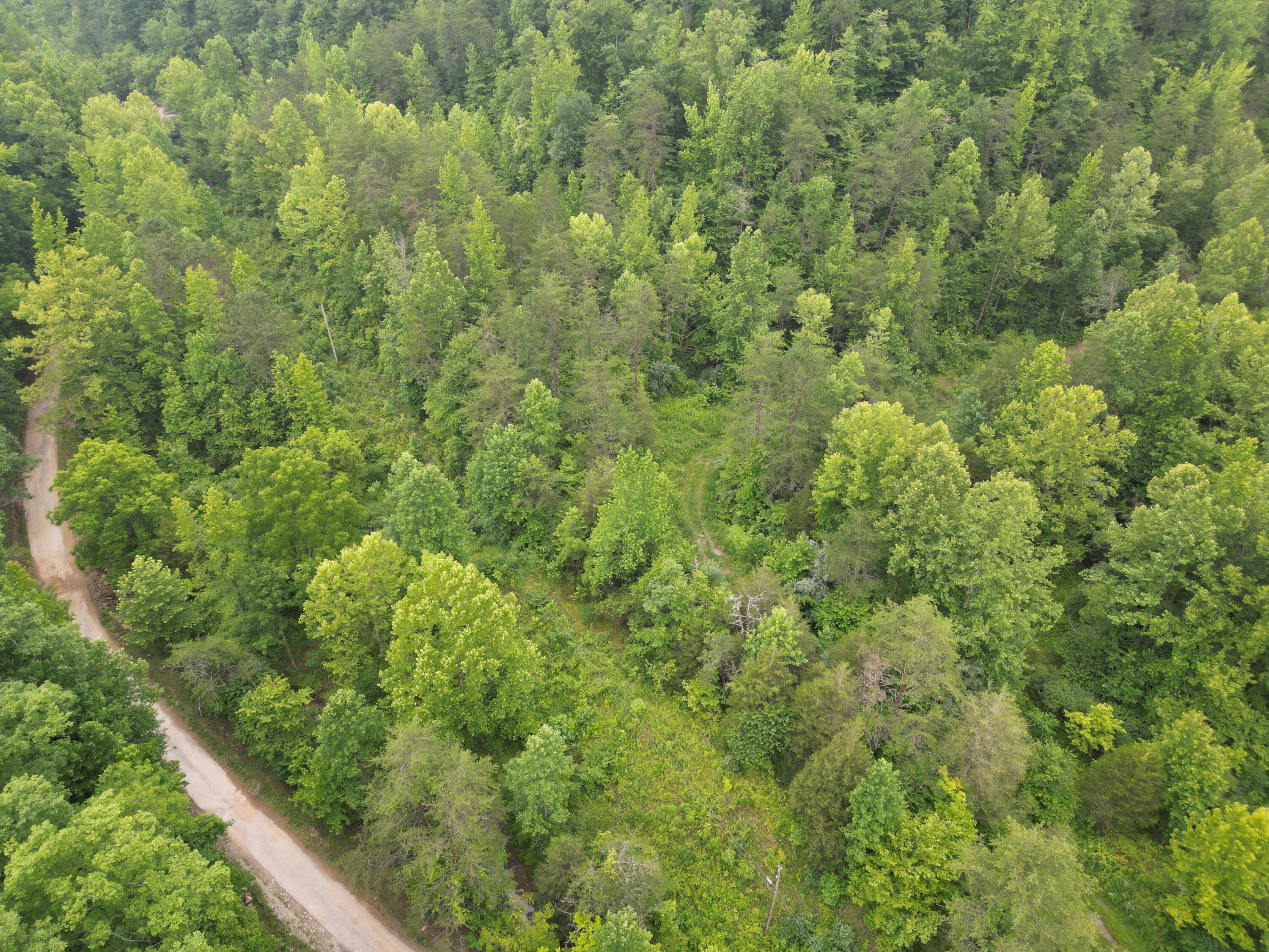 9991 Big Wildcat Road Manchester, KY 40962 - Photo 5 of 19 DJI_0138