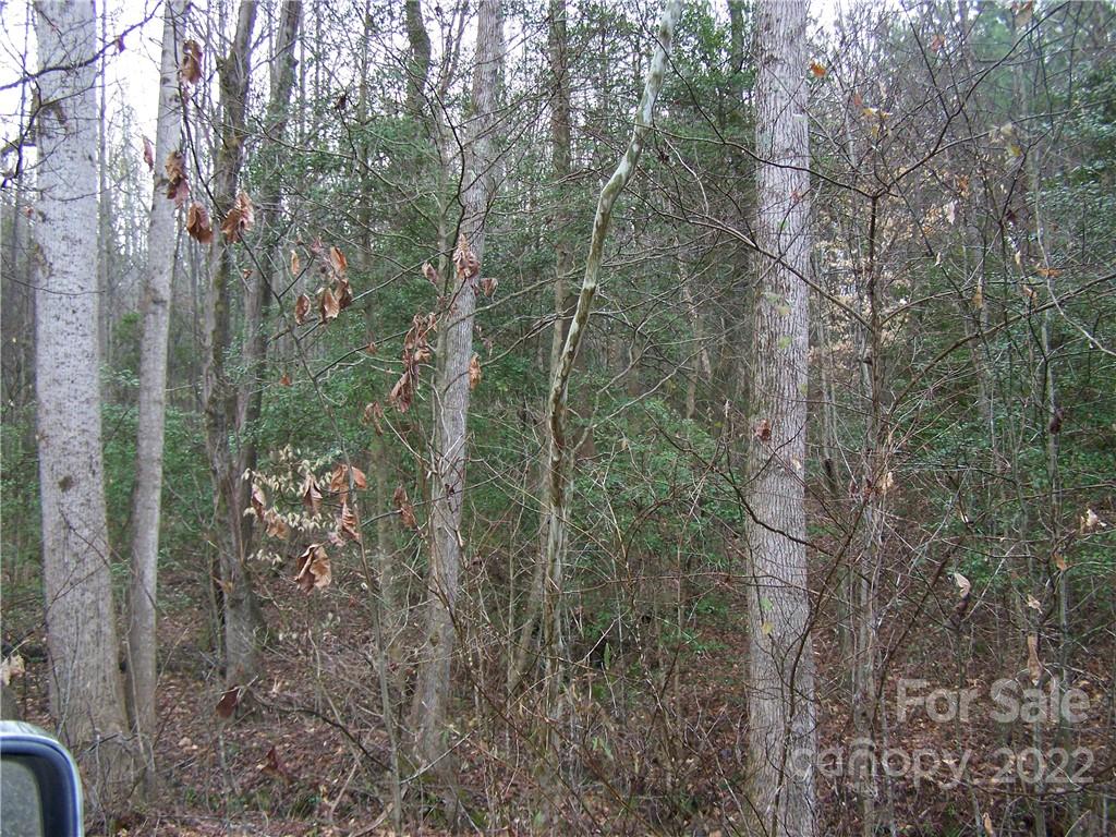 0 Clay Road Shelby, NC 28152 - Photo 1 of 1 Gallery Image 1