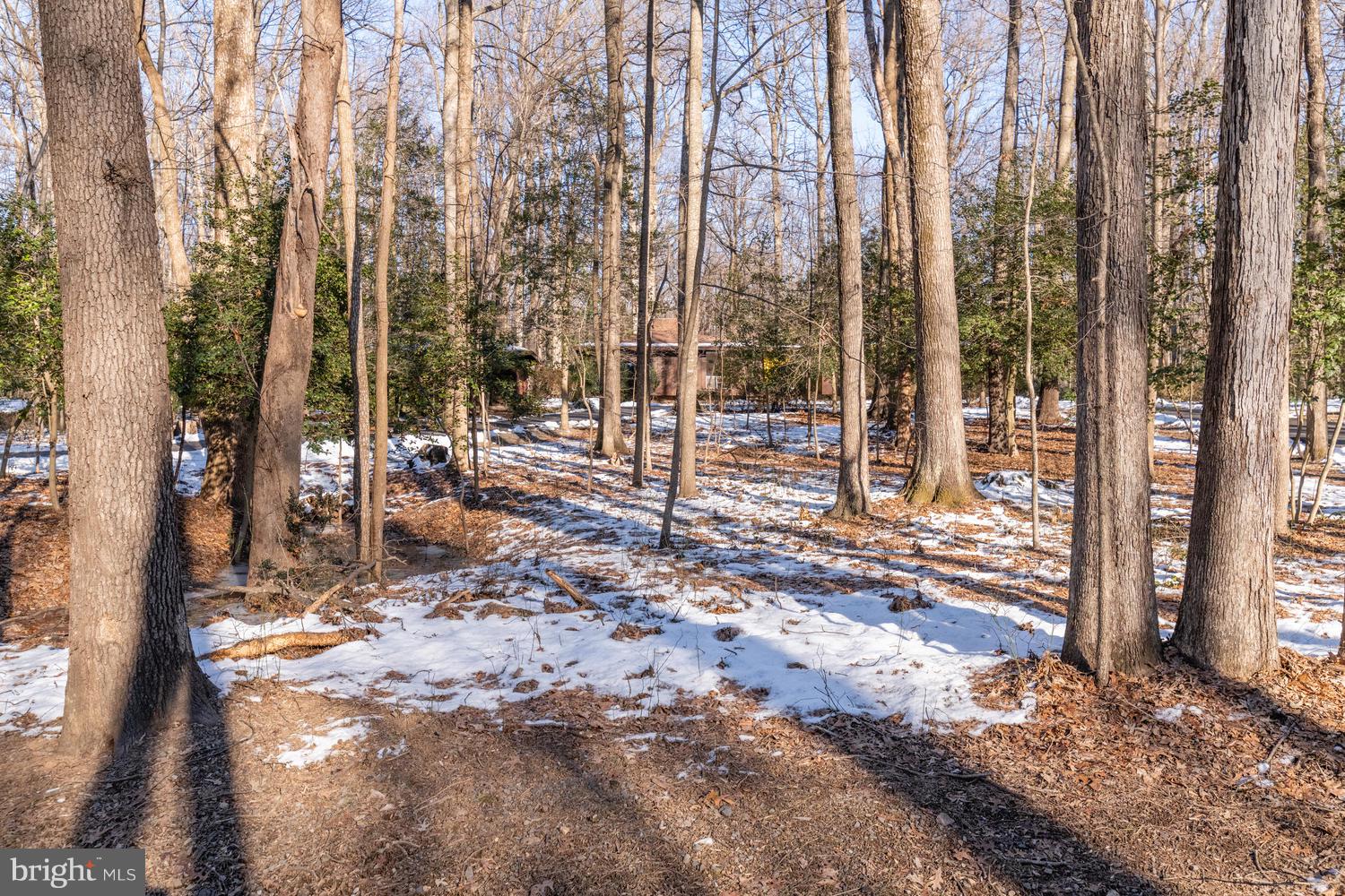 12006 Aintree Lane Reston, VA 20191 - Photo 54 of 56 Gallery Image 54