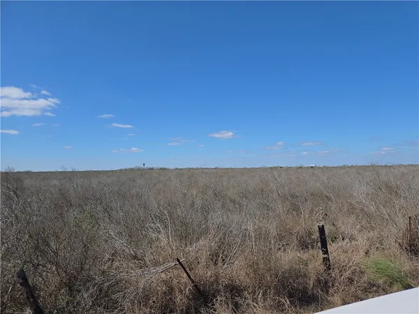 a view of a field of grass and trees