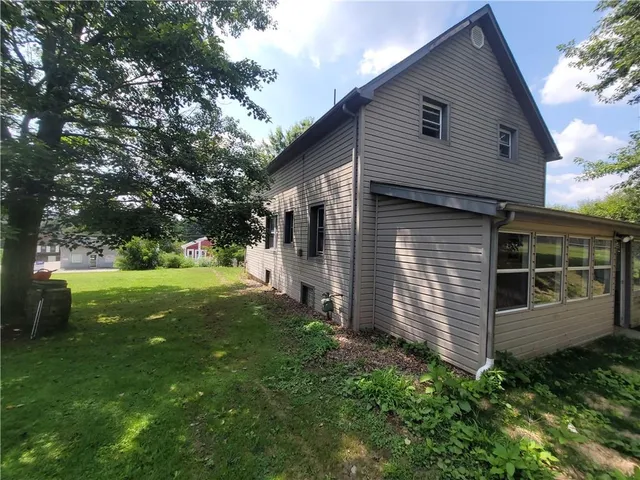 a view of backyard with potted plants and a large tree