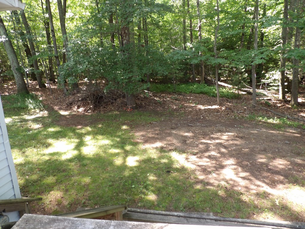 19 Kimball Road Amesbury, MA 01913 - Photo 6 of 26 a view of a tree
