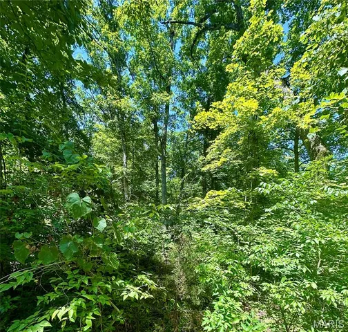 $50,000 | 2518 North Bend Loop, Union, MO 63084