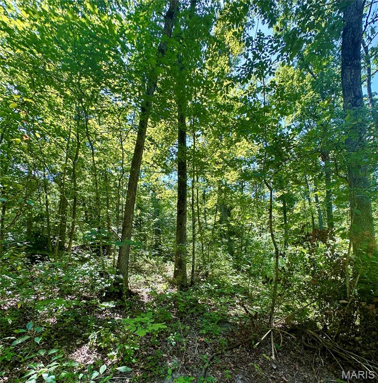 2518 North Bend Loop Union, MO 63084 - Photo 12 of 16