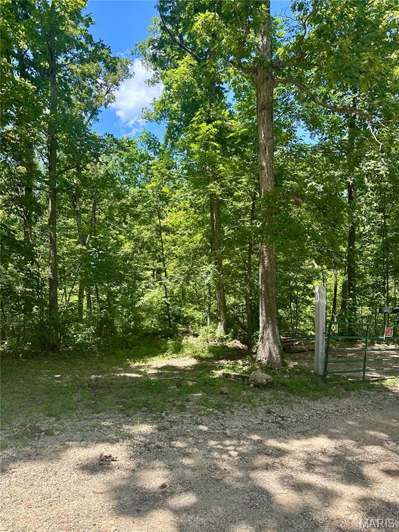 2518 North Bend Loop Union, MO 63084 - Photo 3 of 16