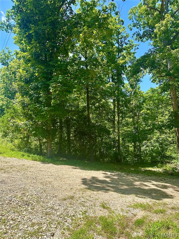 2518 North Bend Loop Union, MO 63084 - Photo 4 of 16