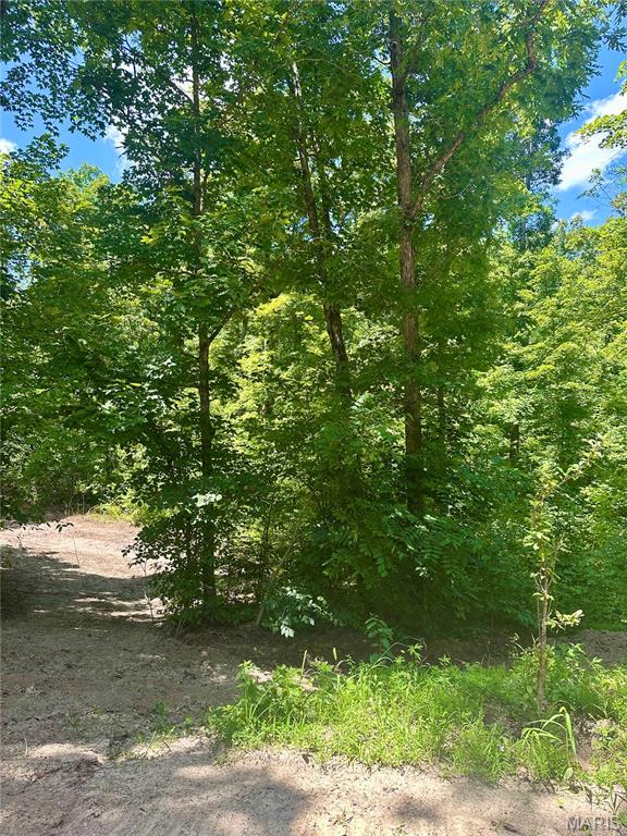 2518 North Bend Loop Union, MO 63084 - Photo 5 of 16