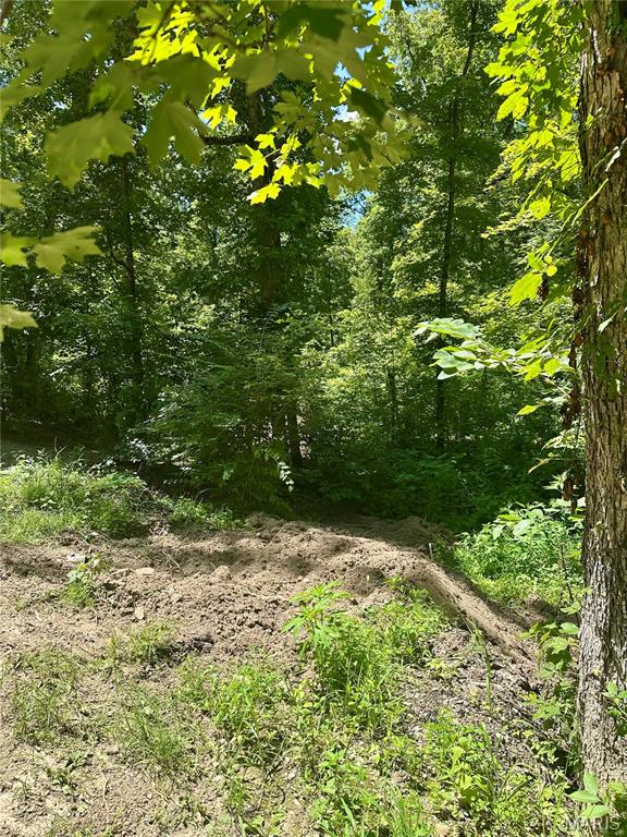 2518 North Bend Loop Union, MO 63084 - Photo 7 of 16