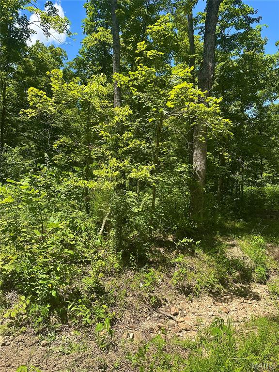 2518 North Bend Loop Union, MO 63084 - Photo 8 of 16