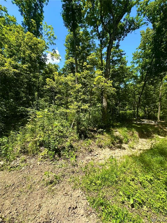 2518 North Bend Loop Union, MO 63084 - Photo 9 of 16