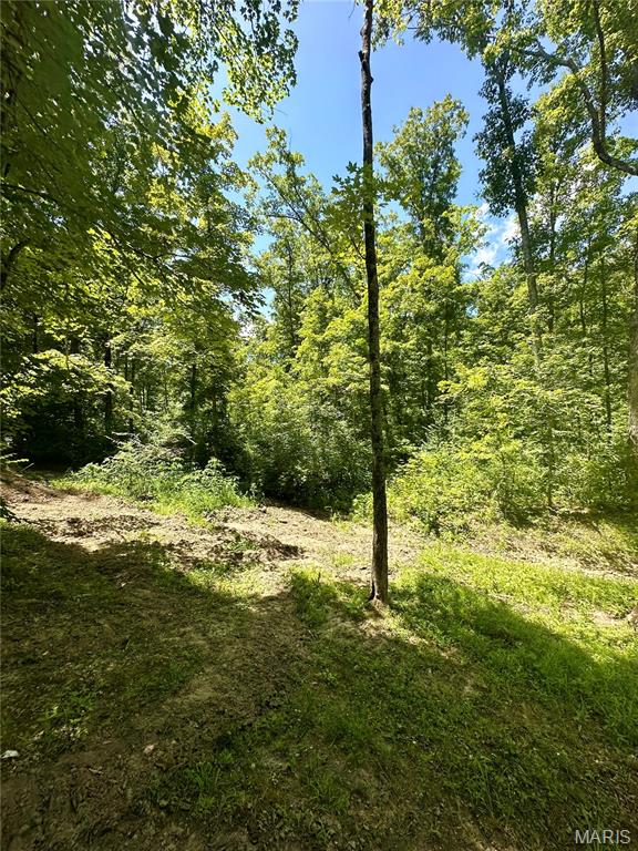 2518 North Bend Loop Union, MO 63084 - Photo 10 of 16