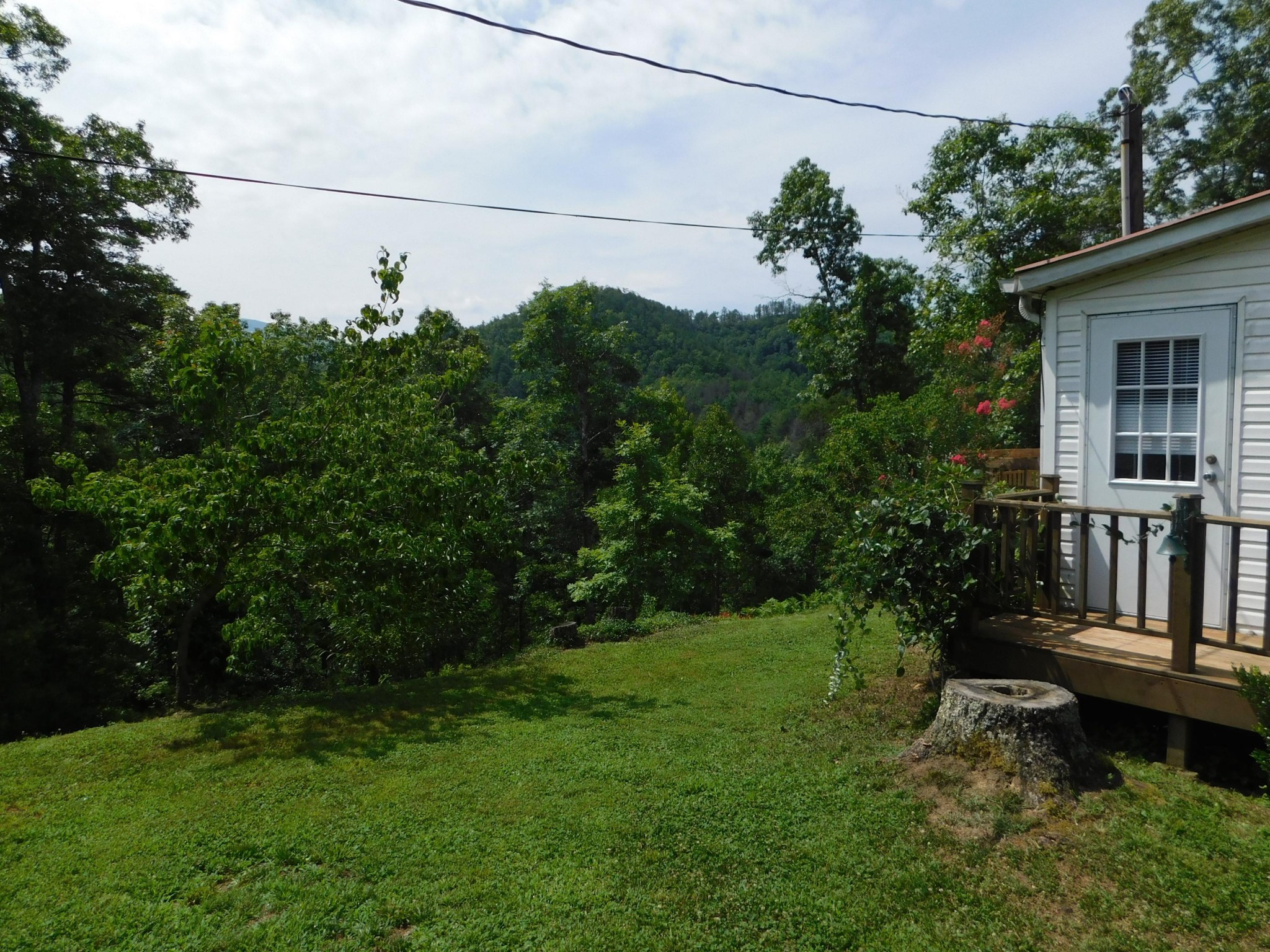 314 Summer House Hollow Road Del Rio, TN 37727 - Photo 26 of 34 Gallery Image 26