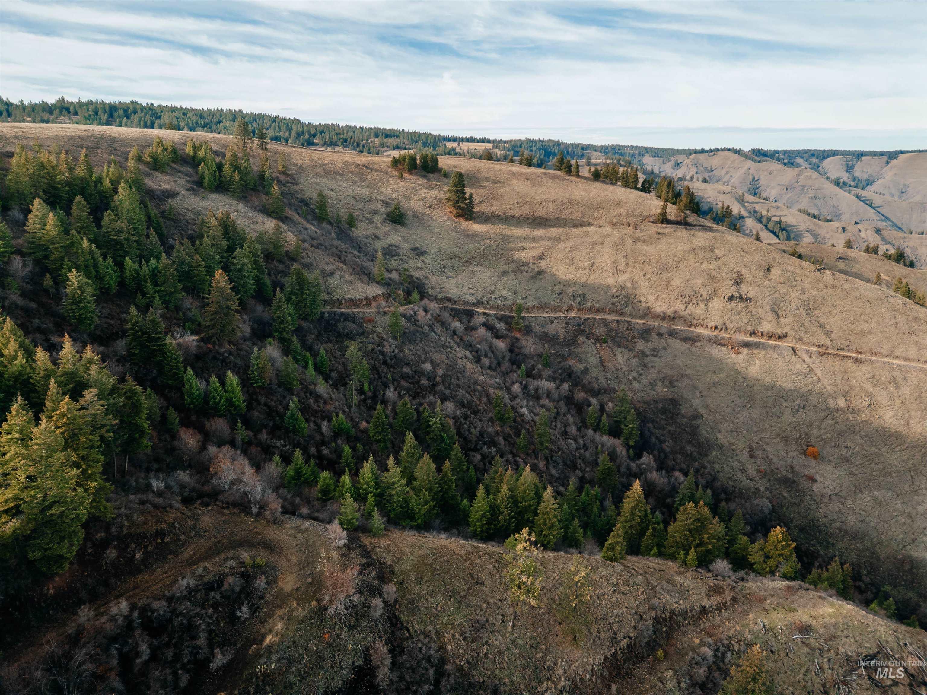 Tbd Boles Road Cottonwood, ID 83522 - Photo 12 of 49 Mountain view with rural landscape