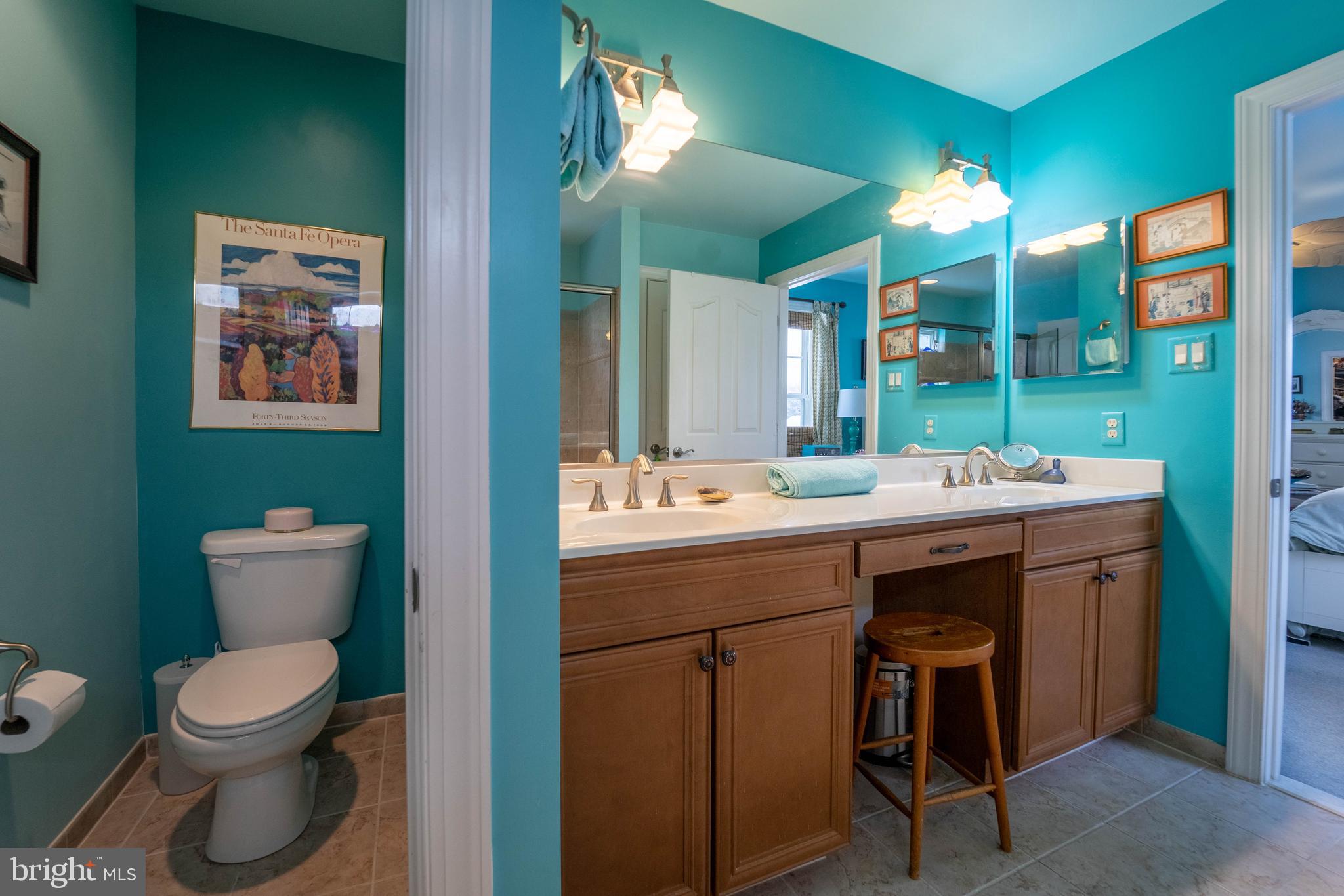 2611 Rockhampton Road Ellicott City, MD 21042 - Photo 29 of 61 Upper-level primary bath