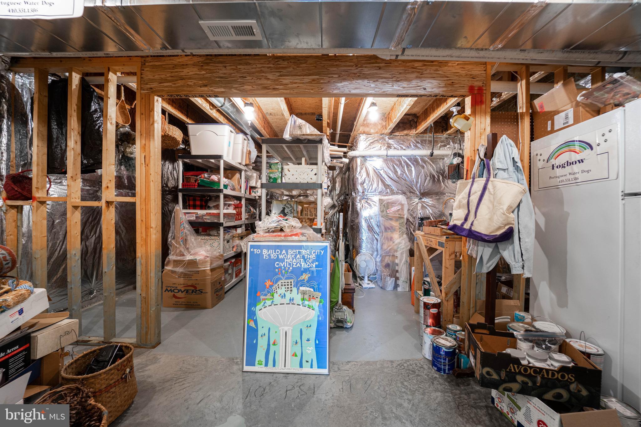2611 Rockhampton Road Ellicott City, MD 21042 - Photo 45 of 61 Lower-level storage