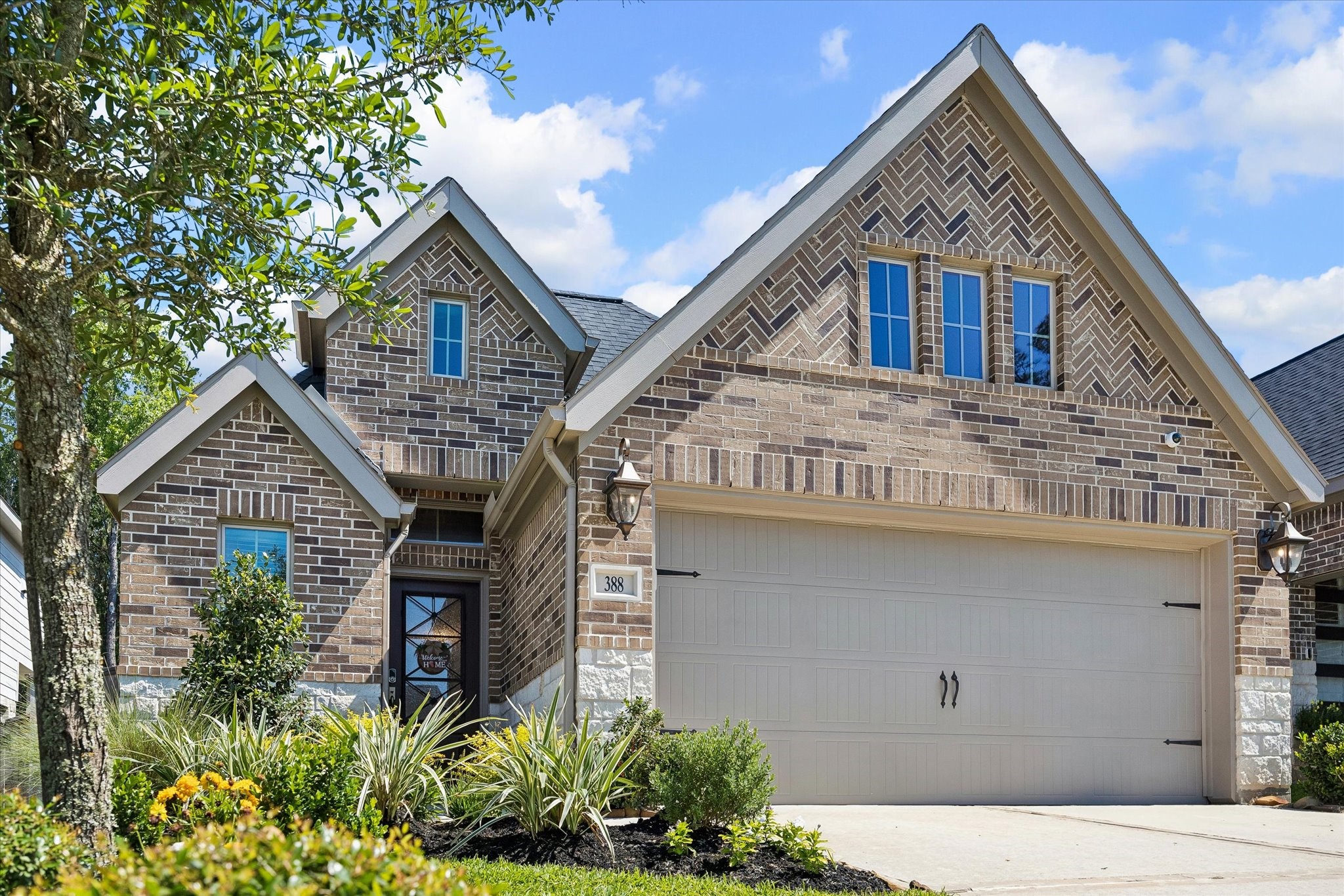 388 Rise Lane Montgomery, TX 77316 - Photo 2 of 37