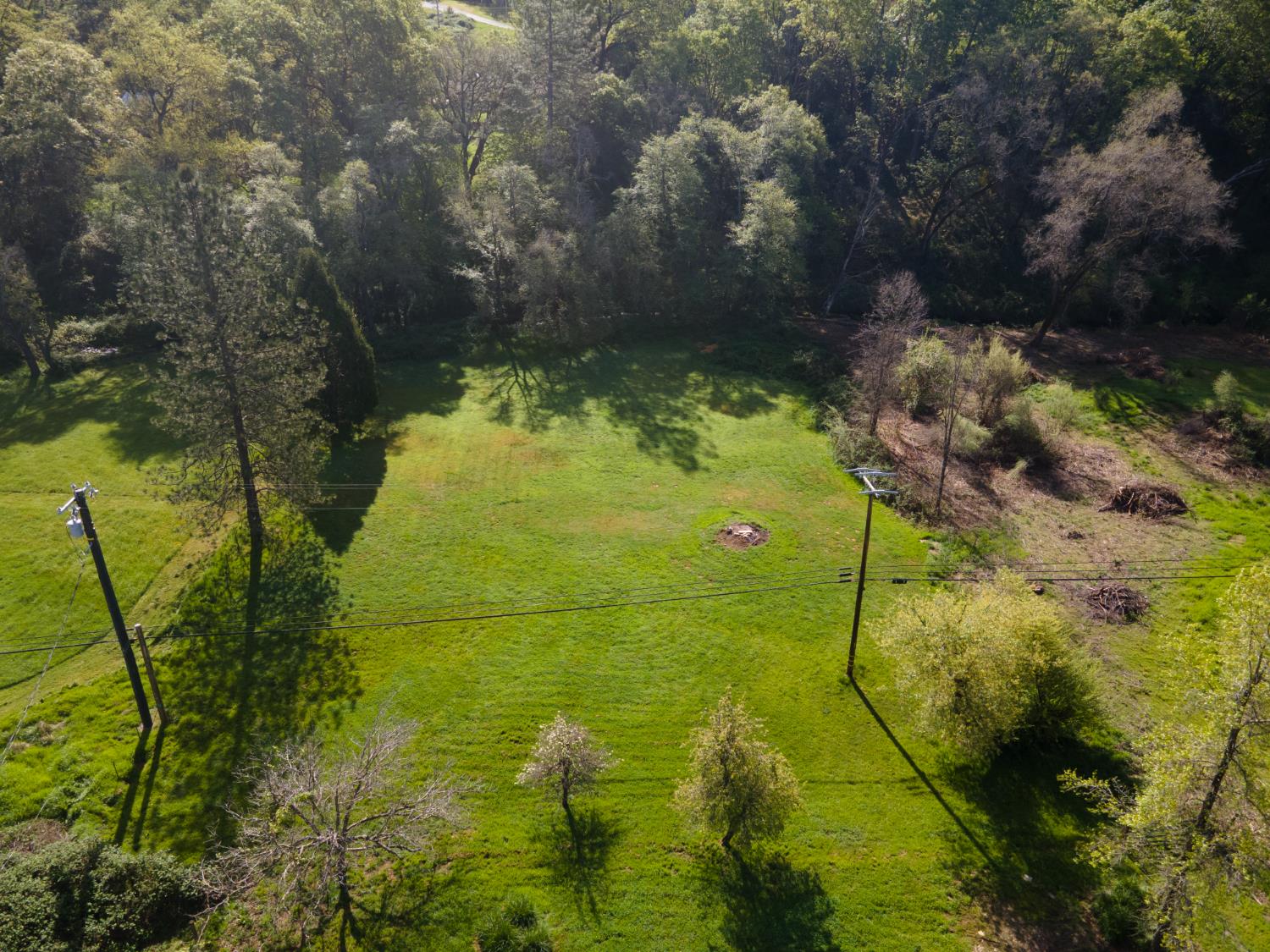 4881 Marshall Road Garden Valley, CA 95633 - Photo 20 of 25 a view of a garden