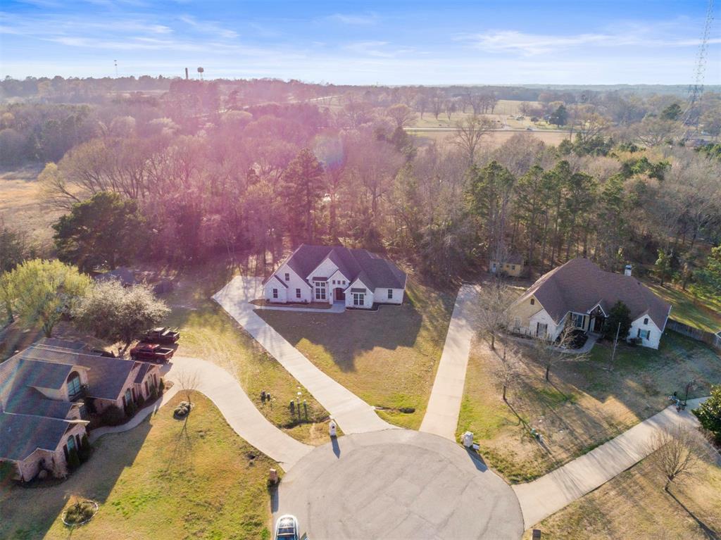 12171 Copper Court Tyler, TX 75706 - Photo 38 of 40 an aerial view of a house with a ocean view