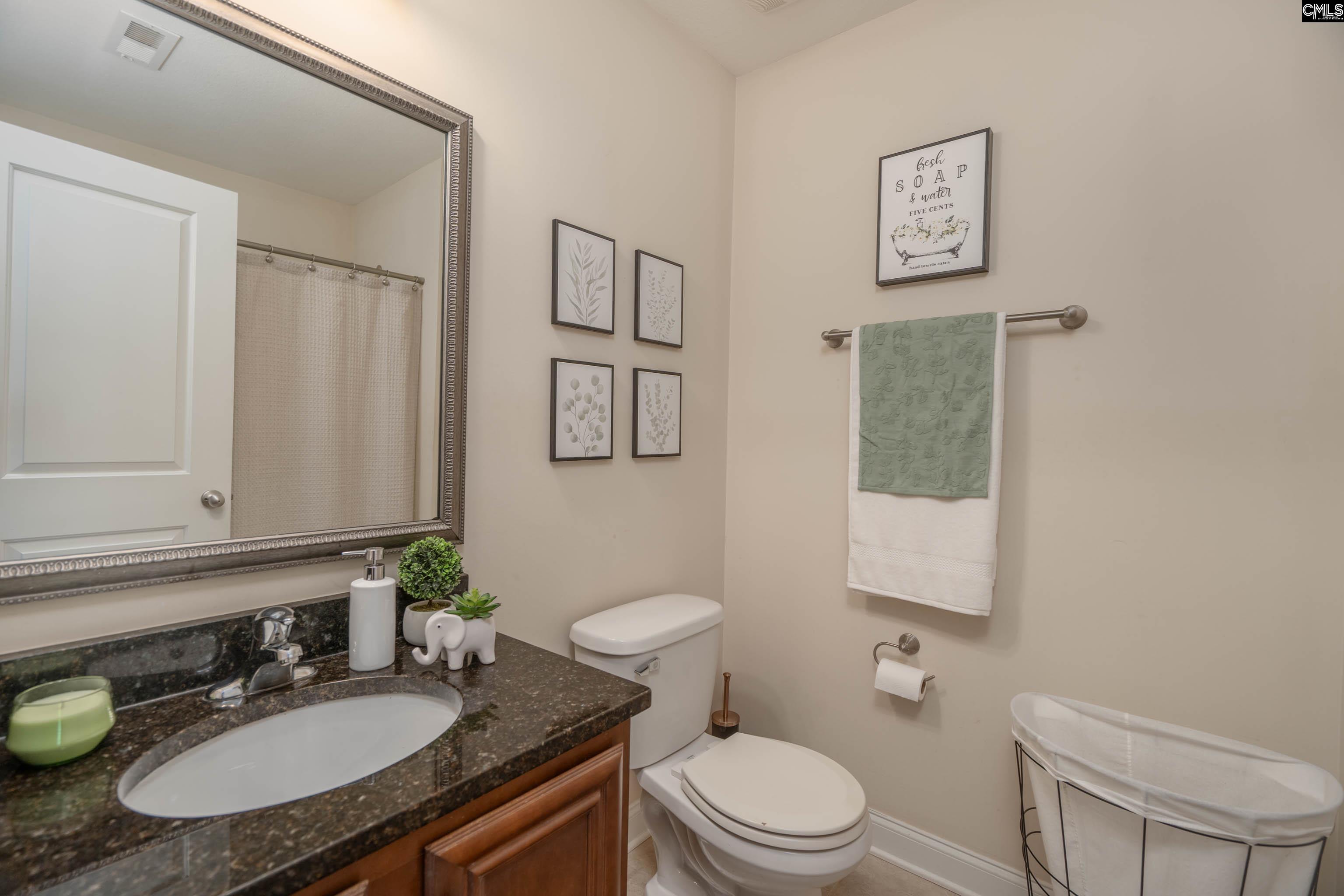 133 Palm Street Chapin, SC 29036 - Photo 22 of 37