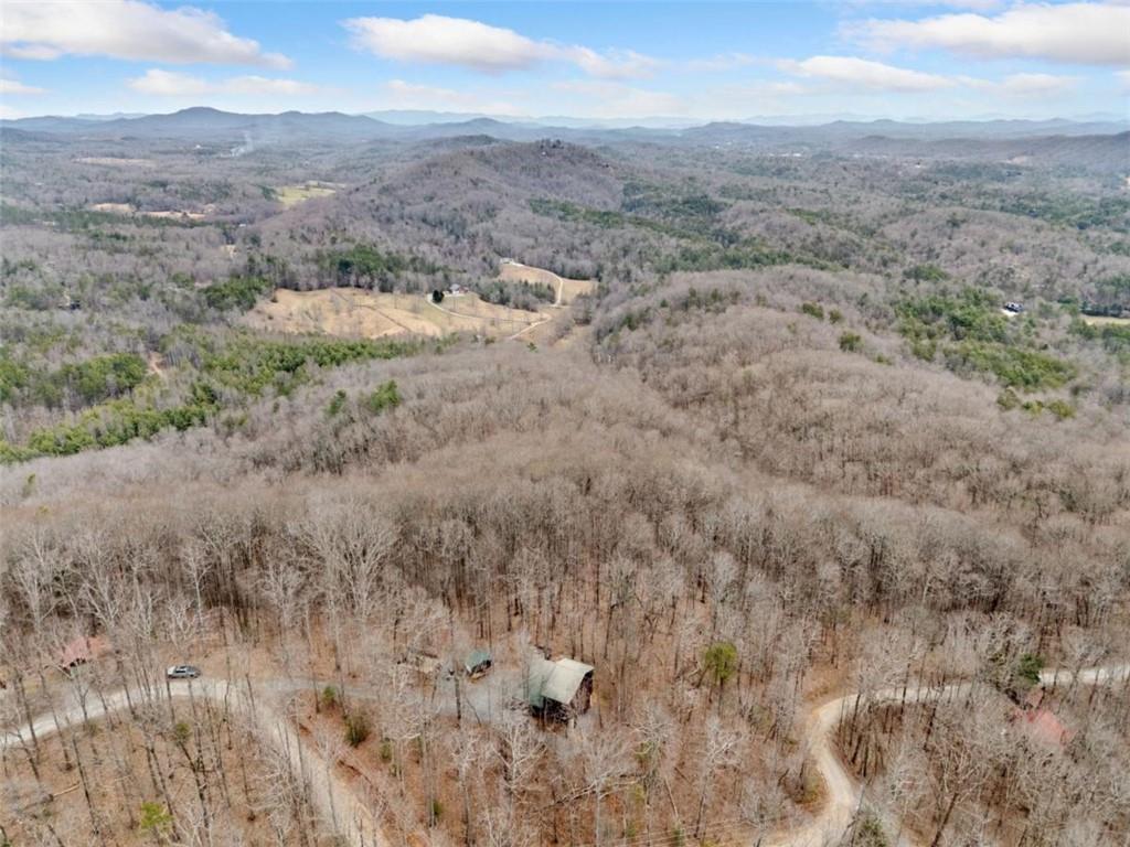 541 Little Bushy Head Road Blue Ridge, GA 30513 - Photo 33 of 43 a view of a dry yard with green space