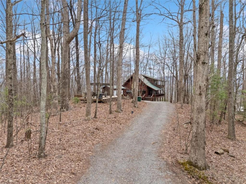 541 Little Bushy Head Road Blue Ridge, GA 30513 - Photo 40 of 43 a view of outdoor space with seating