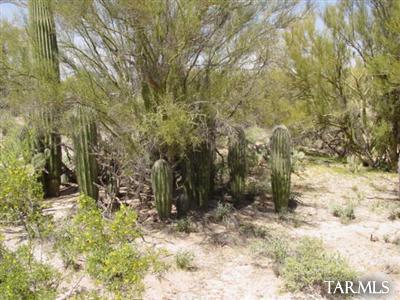 0 West Oasis Road Tucson, AZ 85742 - Photo 3 of 9