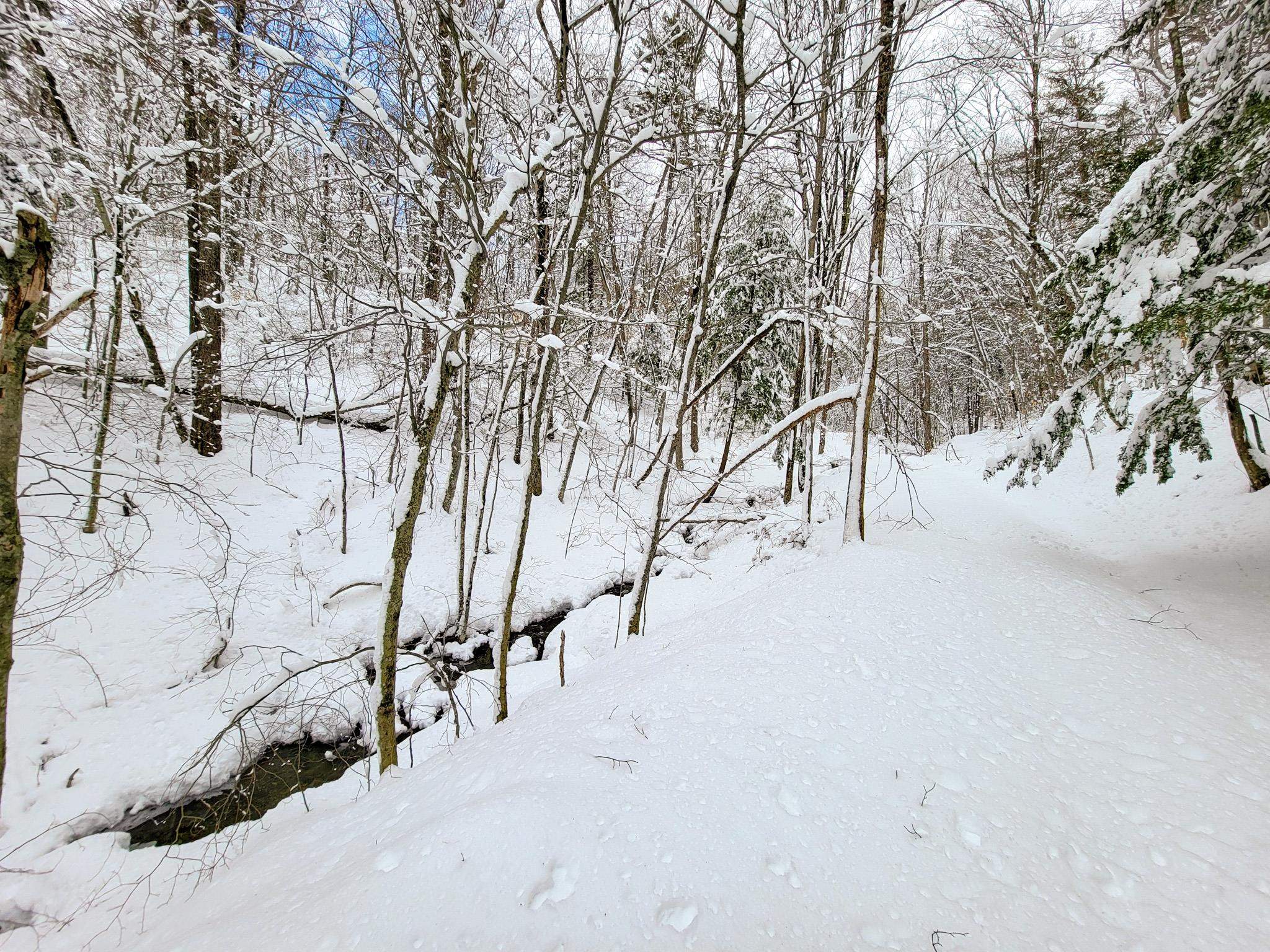 2155 Monument Hill Road Hubbardton, VT 05735 - Photo 8 of 40
