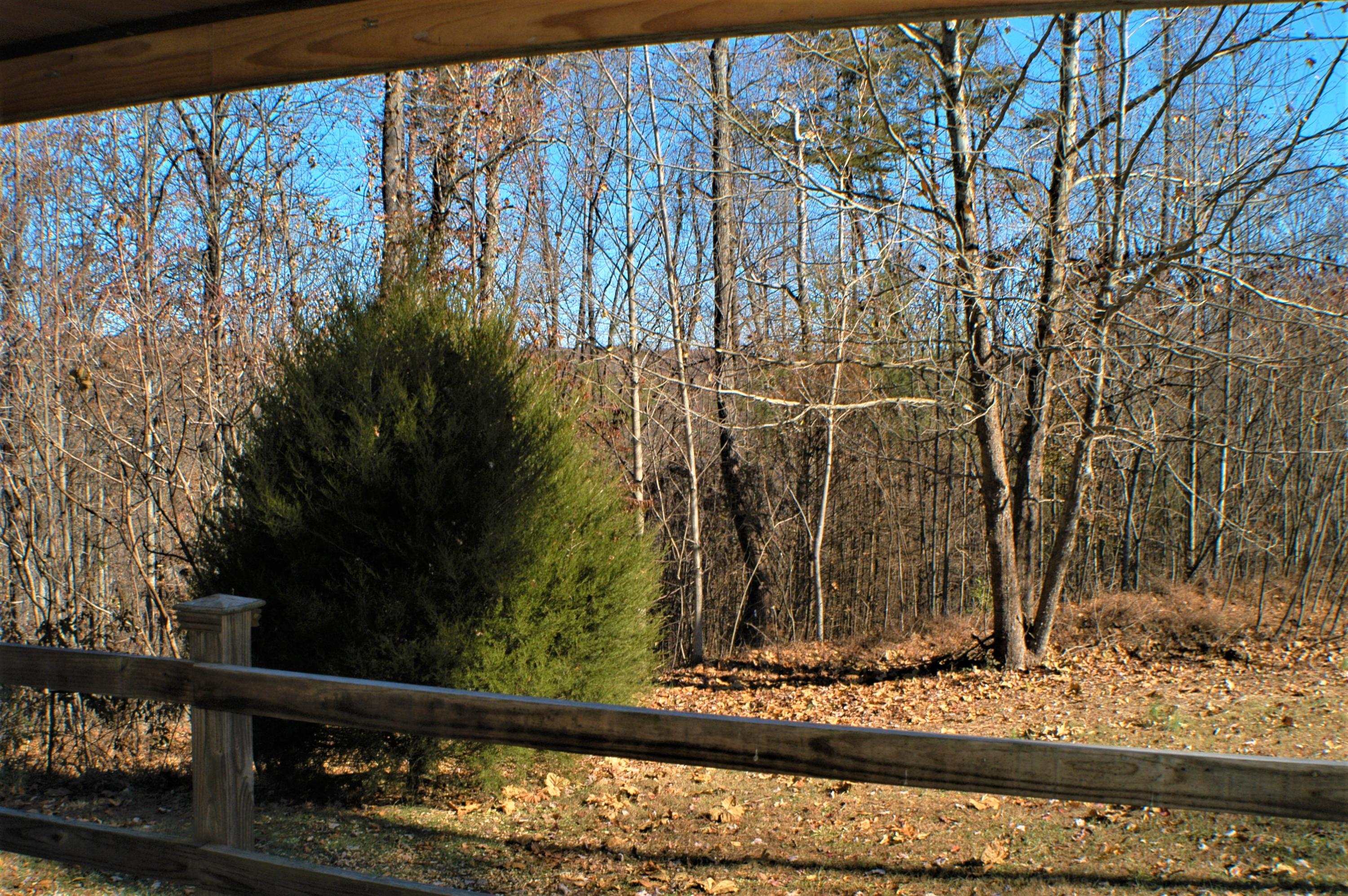 721 Red Road Sparta, TN 38583 - Photo 13 of 28 back yard