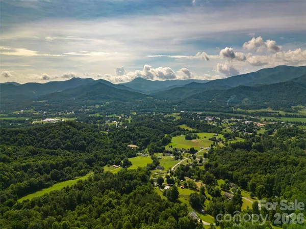 a view of a lush green forest