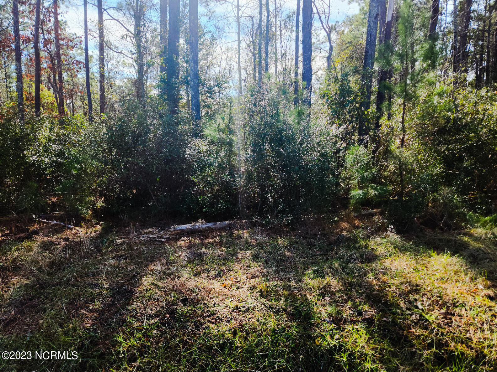 117 Oswell Brinson Road Merritt, NC 28556 - Photo 2 of 5 117 OB 2_edited
