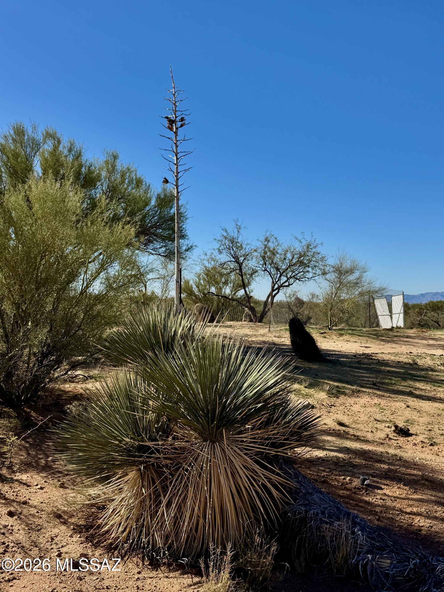 15783 West Phillips Road, Unit 151 Tucson, AZ 85736 - Photo 29 of 35