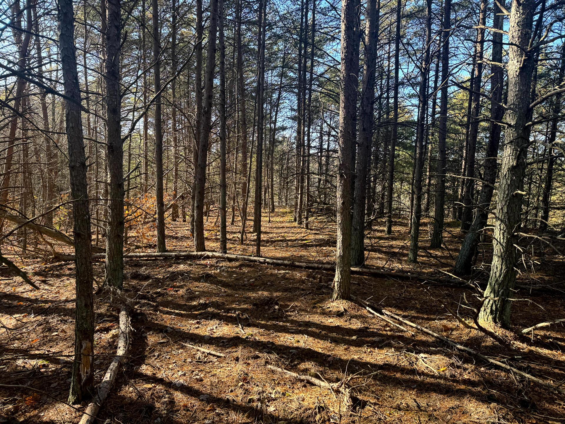 780 Nibert Road, Unit PONDS POPLAR RIDGE TRACT 7) Gallipolis, OH 45631 - Photo 2 of 15 CT-2