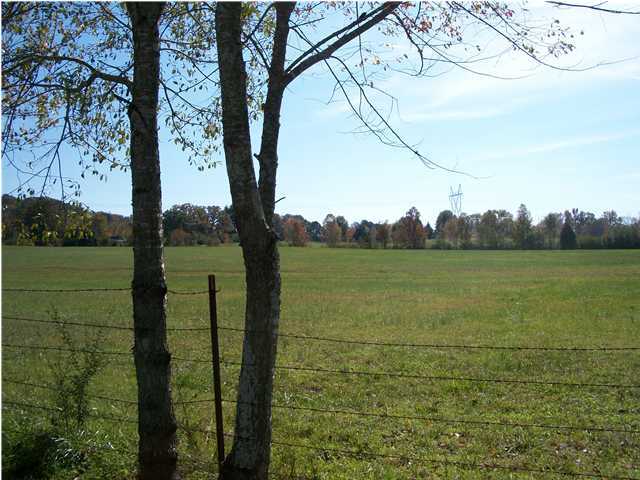 0 Bill Jones Road, Unit 1 Apison, TN 37302 - Photo 2 of 5 Additional Photo