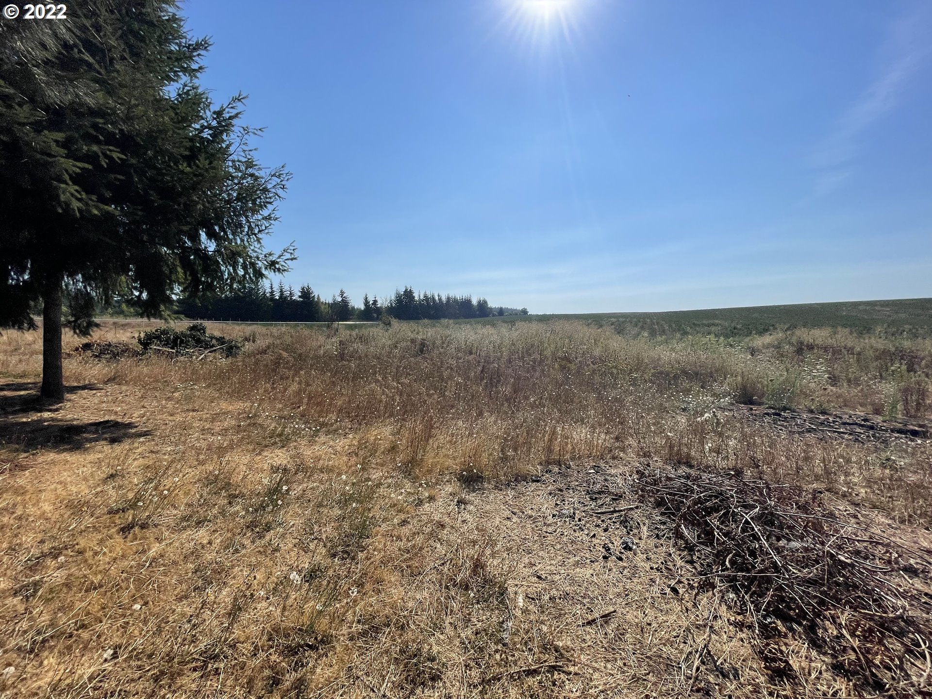 19538 South Unger Road Mulino, OR 97042 - Photo 31 of 31 Gallery Image 31