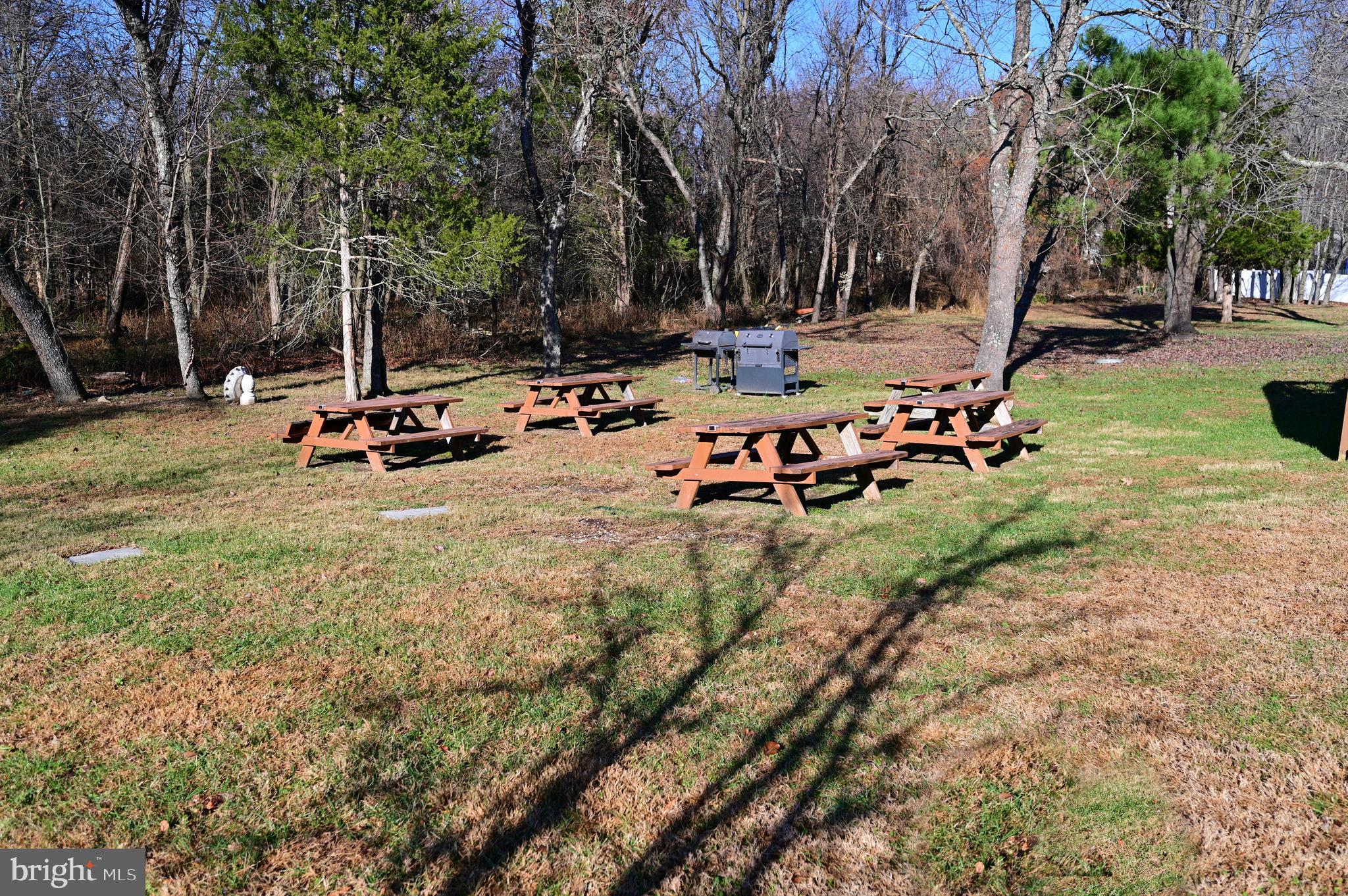 7729 Castle Rock Drive Clinton, MD 20735 - Photo 64 of 65 a view of a park with large trees