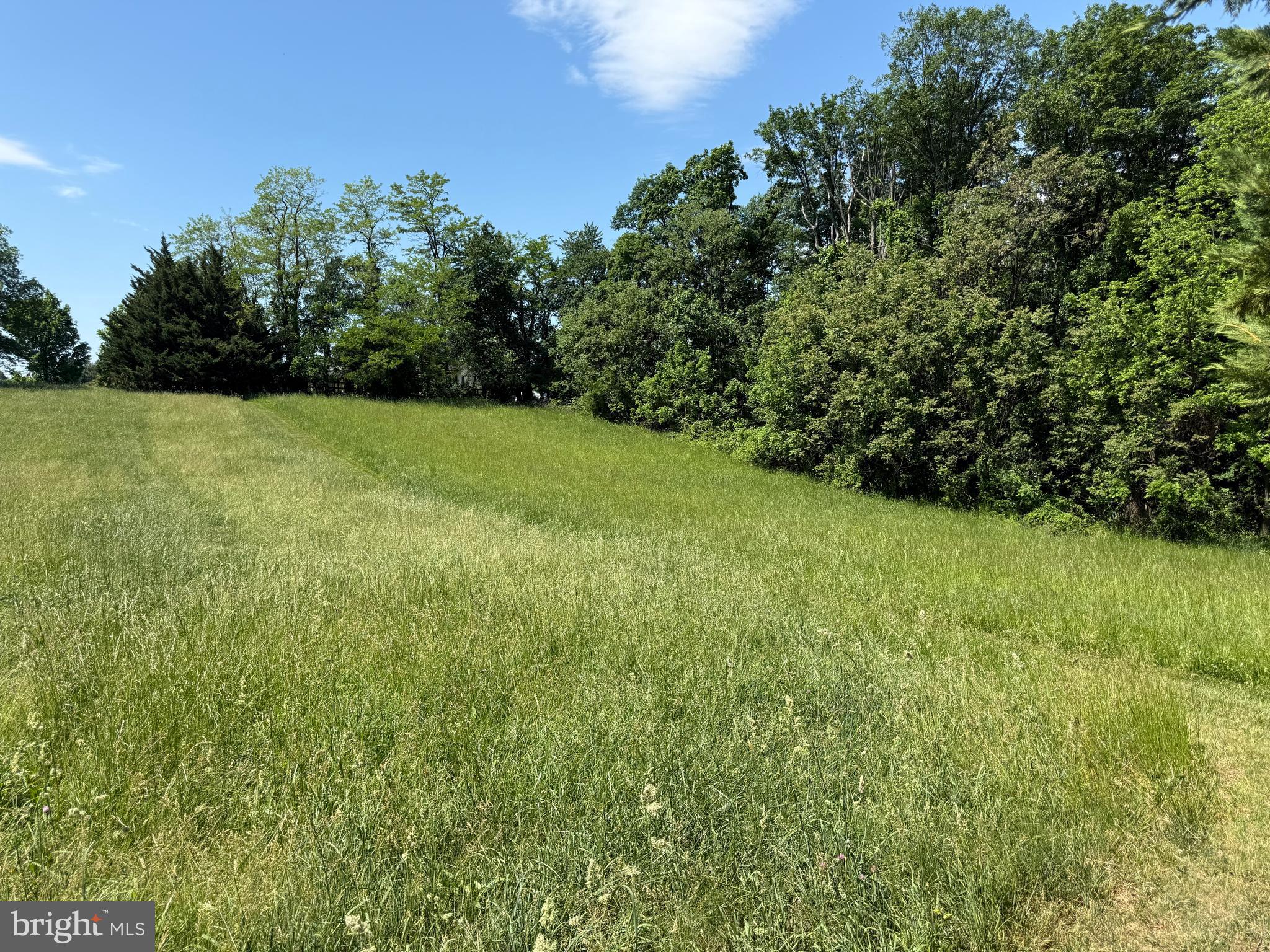 800 Trevanion Road Union Bridge, MD 21791 - Photo 45 of 60 a view of yard with green space